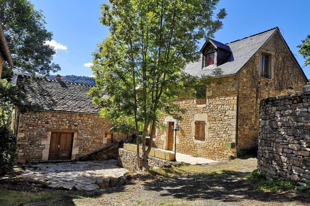 Maison Traditionnelle En Lozere Saint-Saturnin  Екстер'єр фото